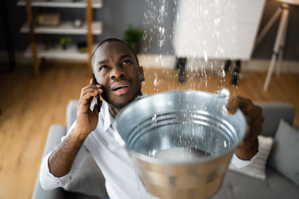 Reliable Cedar Glen Lakes, NJ Water damage restoration Solutions
