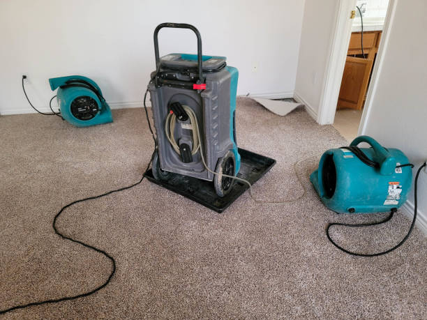 Best Water damage restoration near me  in Cedar Glen Lakes, NJ