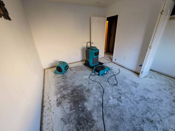 Best Ceiling water damage repair  in Cedar Glen Lakes, NJ