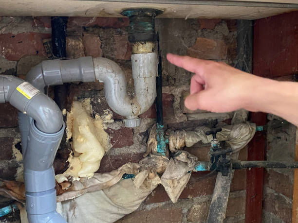 Best Mold removal after water damage  in Cedar Glen Lakes, NJ